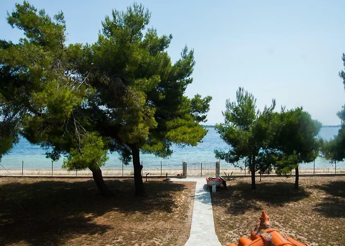 Diapori 沃尔沃罗